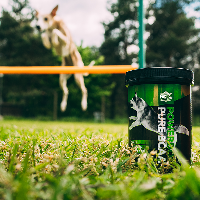 Powerdog BCAA